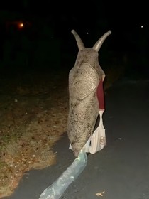 被人带到外地的经历