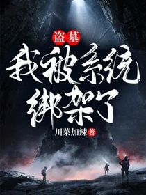 盗墓：我被系统绑架了