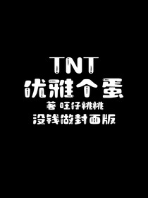 TNT：优雅个蛋