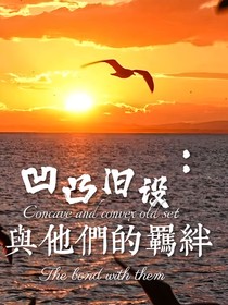 反转凹凸？羁绊