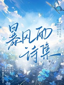 暴風雨詩集