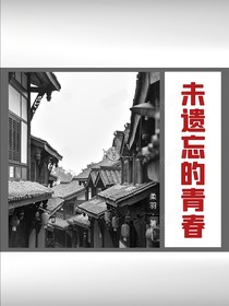 未遗忘的青春