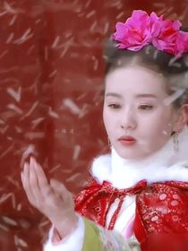 步步惊心之念念不忘的白月光