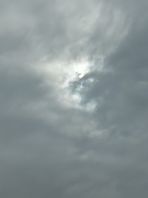 重生之初入江湖