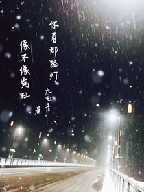 你看那路灯，像不像霓虹