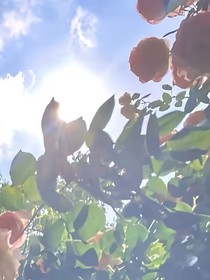 思舊那年