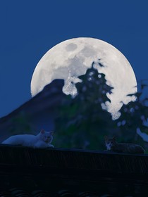 定离