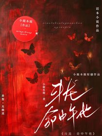 斗龍：命中無他