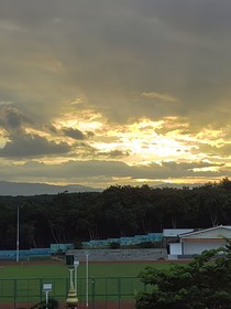 六月星野
