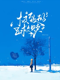 极致光之救赎