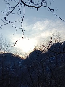 遗憾，而我在等待花开