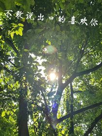 不敢说出口的喜欢你