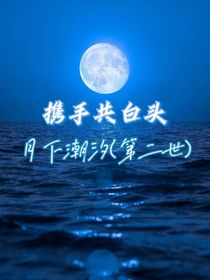 攜手共白頭（月下潮汐）