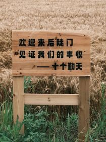 十个勤天（日常小碎片）