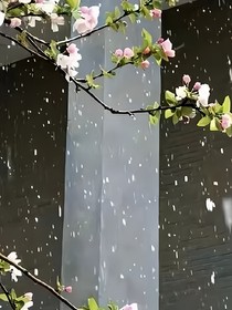 咒回：我靠创造惊呆众人