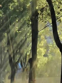 咒回：用花开满每个人的头上