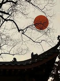 咒回：擁有一只貓系女友是怎樣的體驗(yàn)