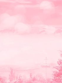夏苡许许