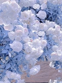 随手搞子