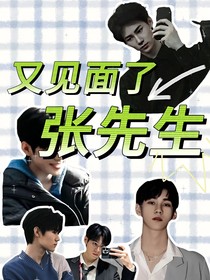 又见面了，张先生