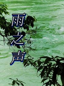雨之声