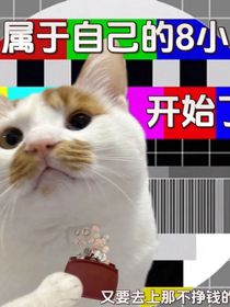 all航：消失的他