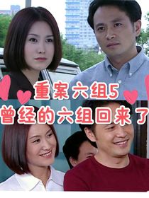 重案六組5曾經(jīng)的六組回來了