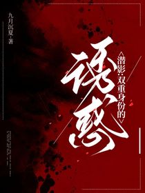 潜影：双重身份的诱惑