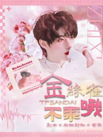 TF三代：金丝雀不乖哦
