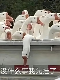 综影视：女主她每天都在完蛋