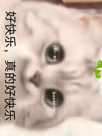用来给杏子补文的小说一本