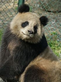有你们灭
