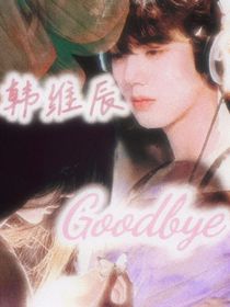 韩维辰：Goodbye