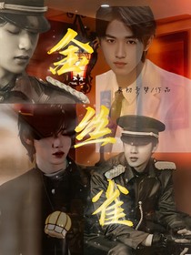 文轩之金丝雀