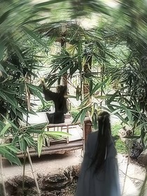 到处穿越