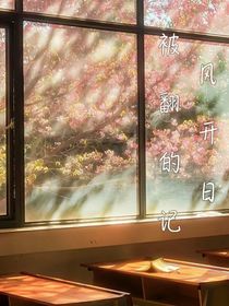 被风翻开的日记