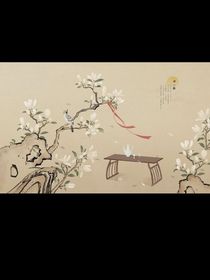 甄嬛传圆梦