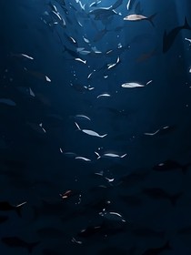第五人格：雙魚之語