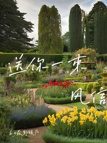 送你一束风信鸢
