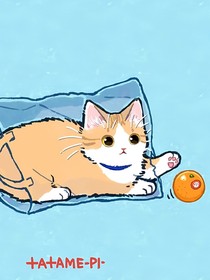 她说我家猫会后空翻