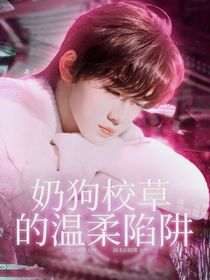宋亞軒：奶狗校草的溫柔陷阱