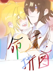 命运拼图
