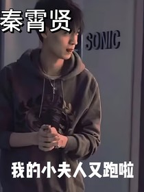 秦霄贤：小夫人又跑啦
