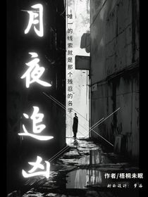 月夜追凶