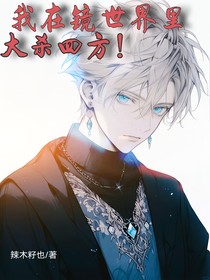 我在镜世间里大杀四方