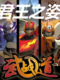 武战道之君王之姿