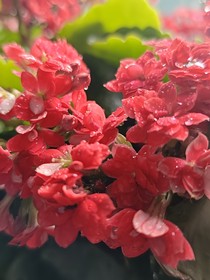 神雕侠侣同人重生之夫唱妇随