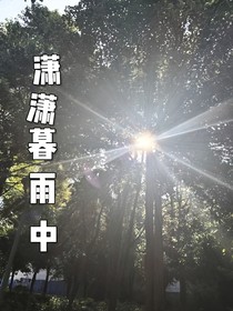 瀟瀟暮雨中