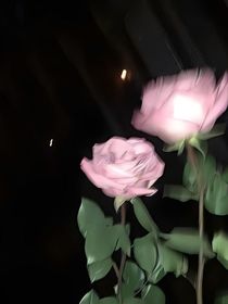 阵阵清风