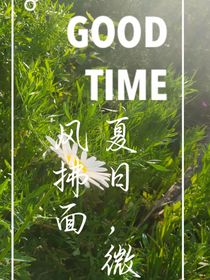 你好！楚辞青